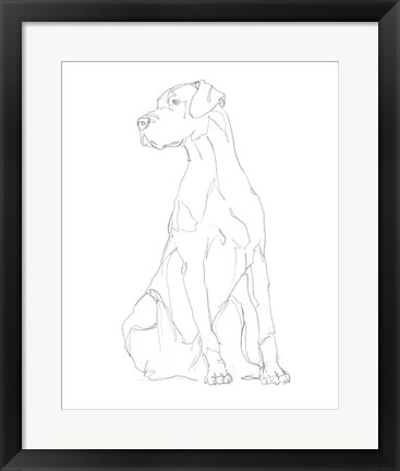 Framed Dog Contour II Print