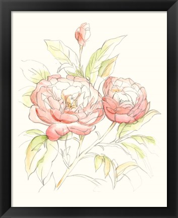 Framed Watercolor Floral Variety II Print