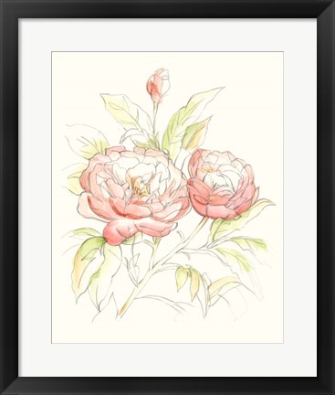 Framed Watercolor Floral Variety II Print