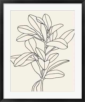 Framed Olive Branch Contour II Print