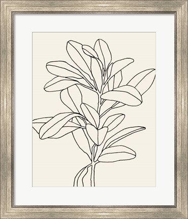 Framed Olive Branch Contour II Print