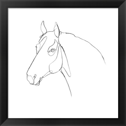 Framed Equine Pencil Contour III Print