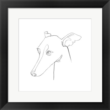 Framed Greyhound Pencil Portrait I Print