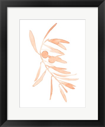 Framed Blush Olive Branch I Print