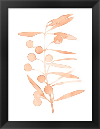 Framed Blush Olive Branch II Print