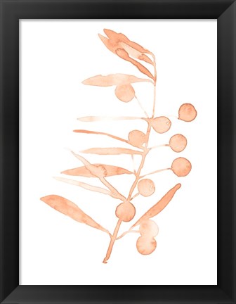 Framed Blush Olive Branch III Print