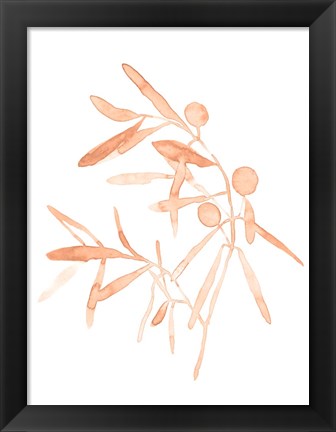 Framed Blush Olive Branch IV Print