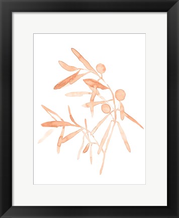 Framed Blush Olive Branch IV Print