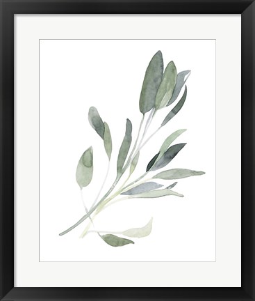 Framed Simple Sage I Print