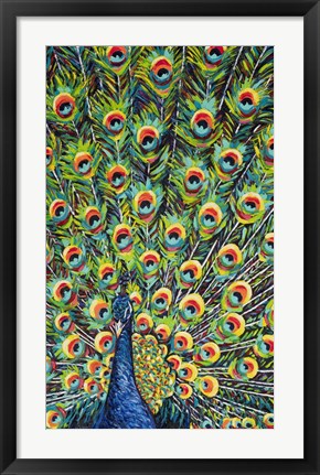 Framed Lavish Peacock I Print