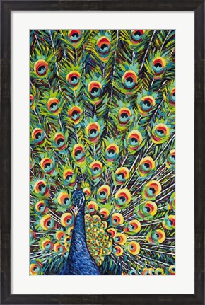 Framed Lavish Peacock I Print