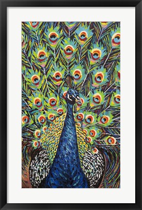 Framed Lavish Peacock II Print