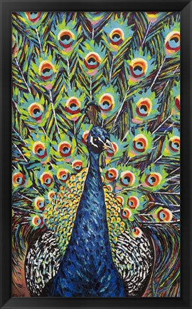 Framed Lavish Peacock II Print