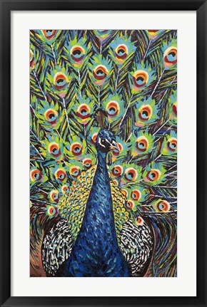 Framed Lavish Peacock II Print