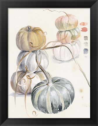 Framed Harvest Pumpkins II Print