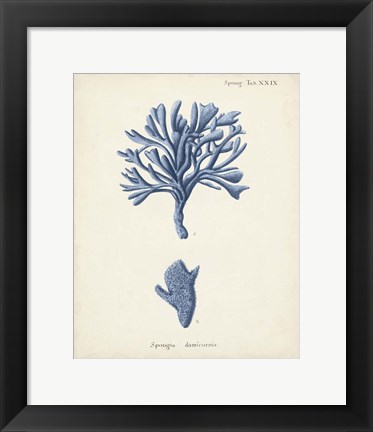 Framed Antique Coral in Navy IV Print