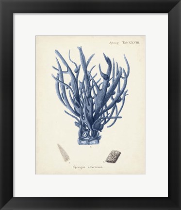 Framed Antique Coral in Navy V Print