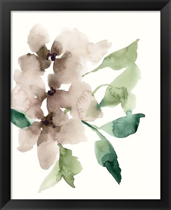 Framed Mauve Flowers II Print