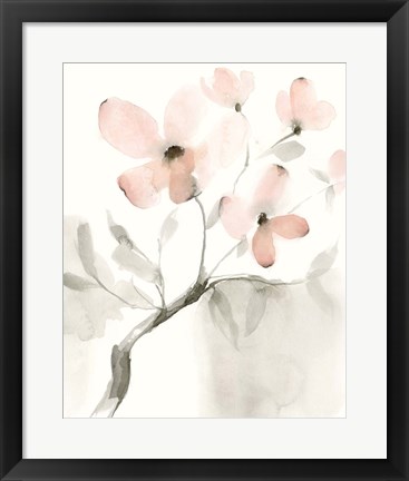 Framed Dogwood Dream I Print