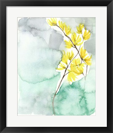 Framed Forsythia Dreams II Print