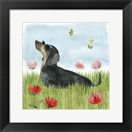 Framed Park Pup I Print