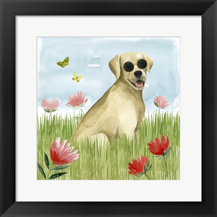 Framed Park Pup II Print