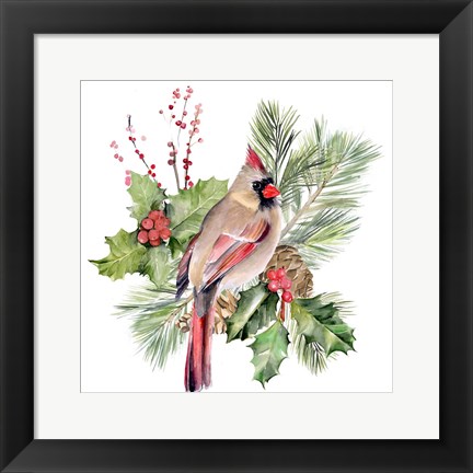 Framed Cardinal Holly Christmas II Print