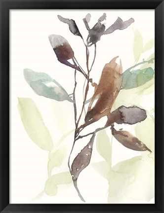 Framed Rusty Sienna Leaves I Print