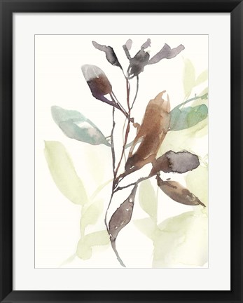 Framed Rusty Sienna Leaves I Print