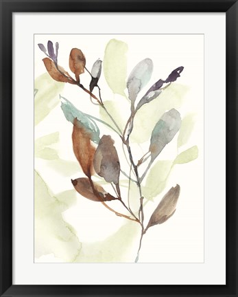 Framed Rusty Sienna Leaves II Print