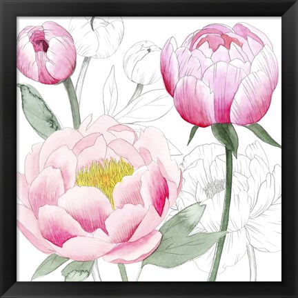 Framed May Peonies II Print