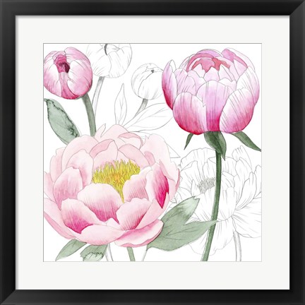 Framed May Peonies II Print