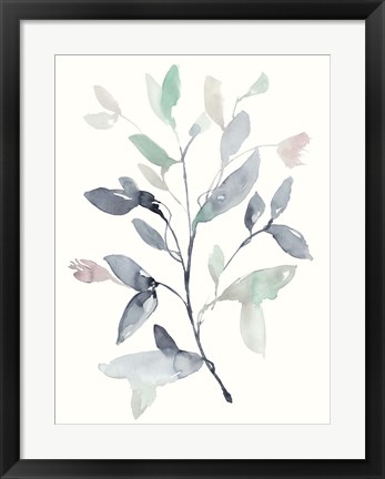 Framed Water Branches I Print