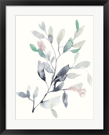 Framed Water Branches II Print