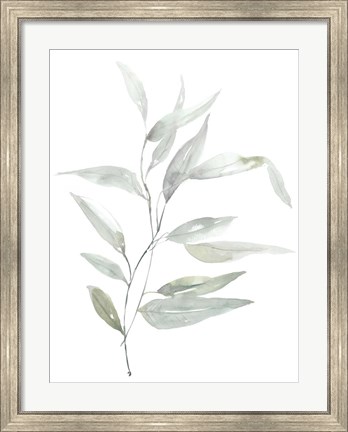 Framed Ethereal Eucalyptus II Print