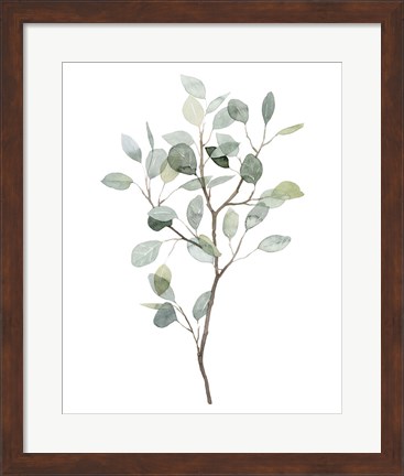 Framed Seaglass Eucalyptus I Print