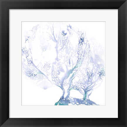 Framed Navy Sea Fan I Print