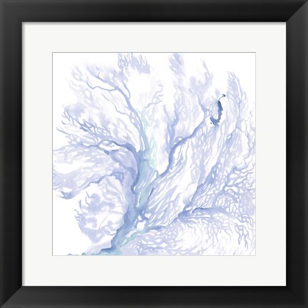 Framed Navy Sea Fan II Print