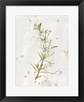 Framed Antique Earthtone Herbs III Print