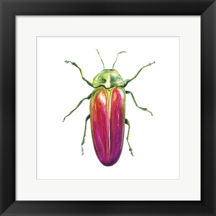 Framed Buggin Out II Print