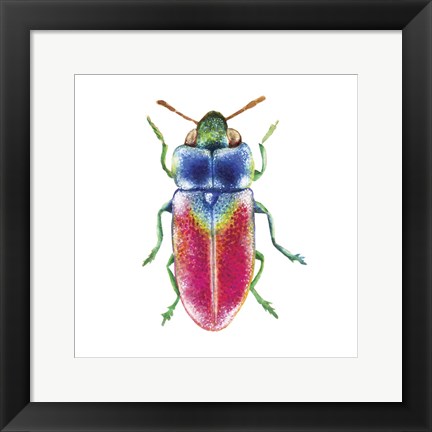 Framed Buggin Out III Print