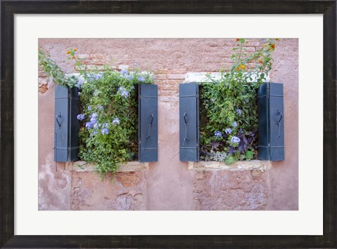 Framed Italian Window Flowers II Print