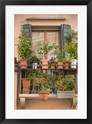 Framed Italian Window Flowers III Print