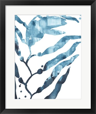 Framed Inkwash Kelp I Print