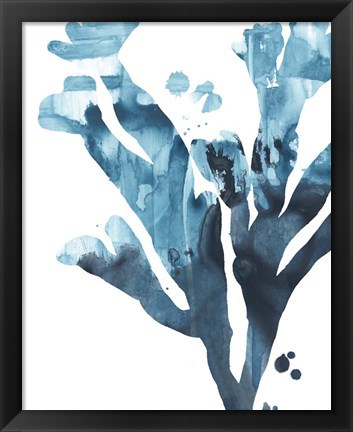 Framed Inkwash Kelp II Print