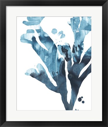 Framed Inkwash Kelp II Print