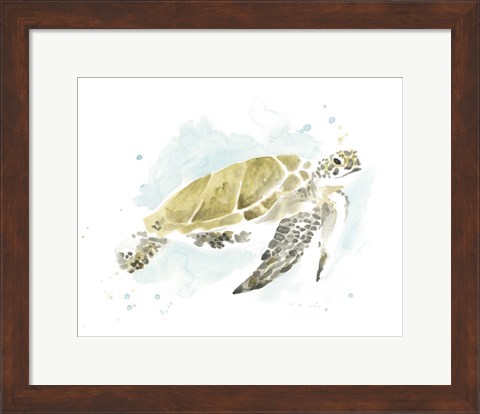 Framed Watercolor Sea Turtle Study I Print