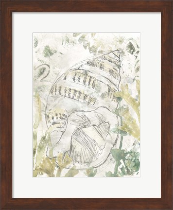 Framed Verdant Shell Fresco III Print