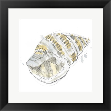 Framed Citron Shell Sketch I Print