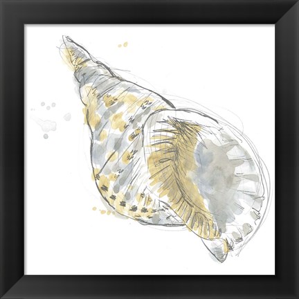 Framed Citron Shell Sketch II Print